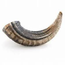 Lamb Horn