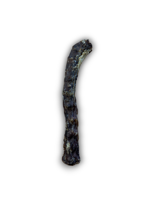 Duck Neck