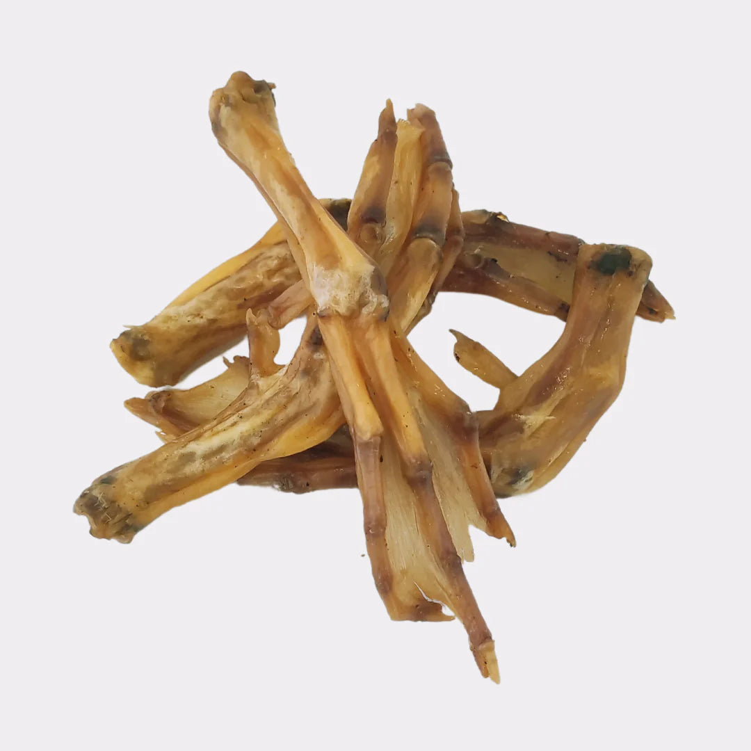 Duck Feet (x10)