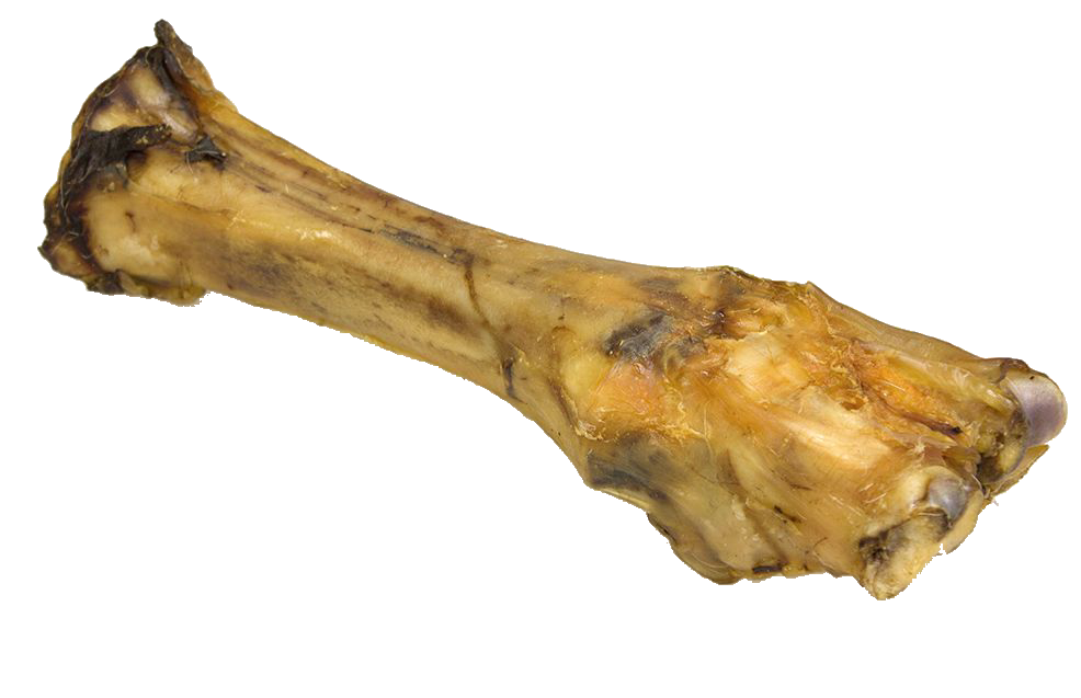 Beef Leg Bone
