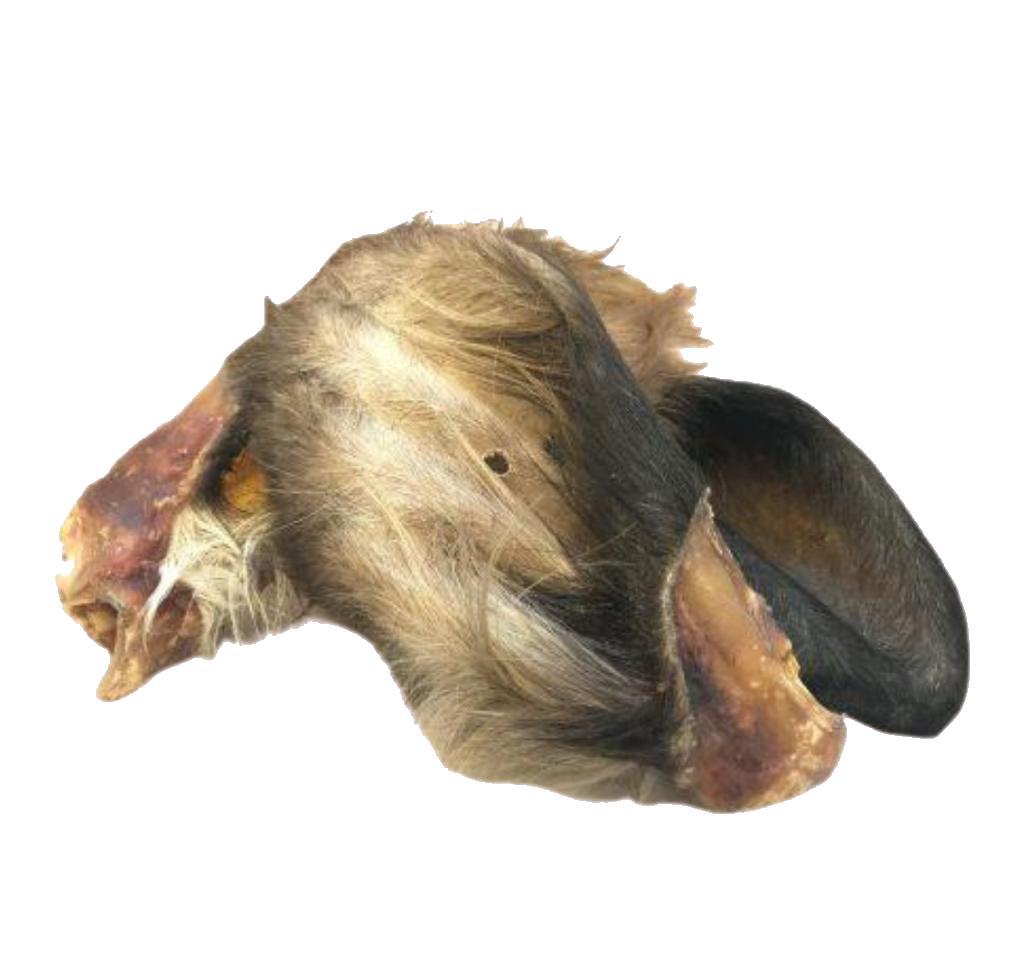 Hairy Cow Ear