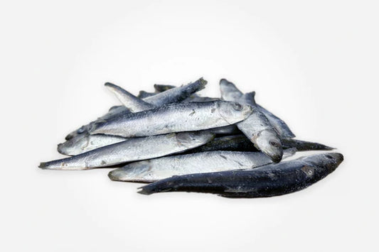 Frozen Sprats 1kg