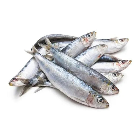 Frozen Sardines 1kg