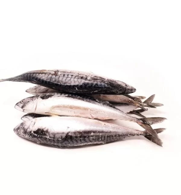 Frozen Mackerel - 1kg