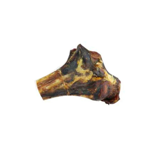 Ostrich Knuckle Bone