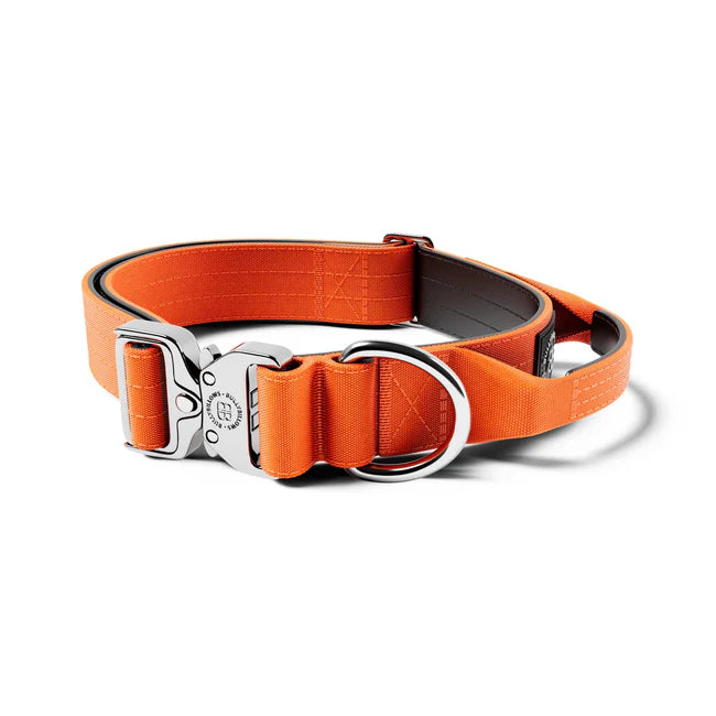 4cm Combat® Collar | Handle & Rated Clip - Large (19-26’’)