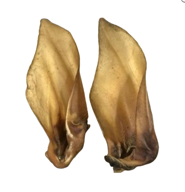 Buffalo Ear