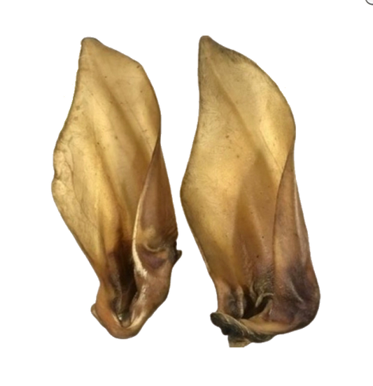 Buffalo Ear